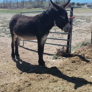 Meet your Posher, Tanya